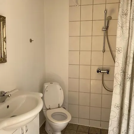 Stort Vaerelse Med Eget Toilet Og Bad Daire